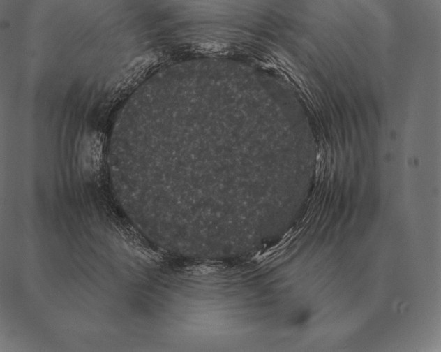 X0000087370412200705181221