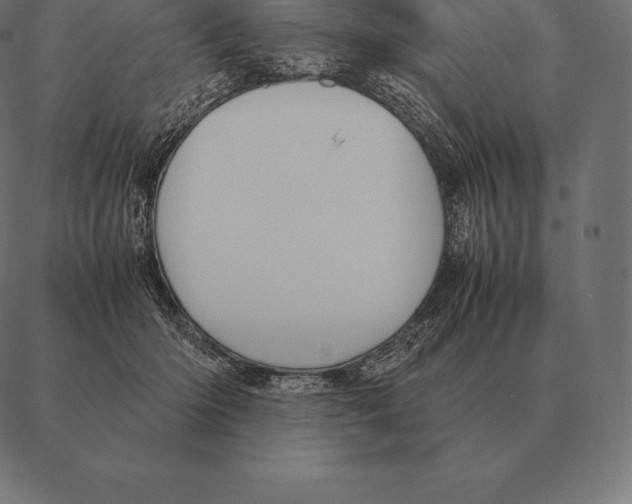 X0000087370414200705181221