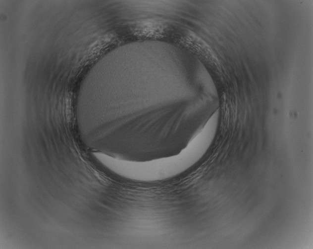 X0000087370416200705181221