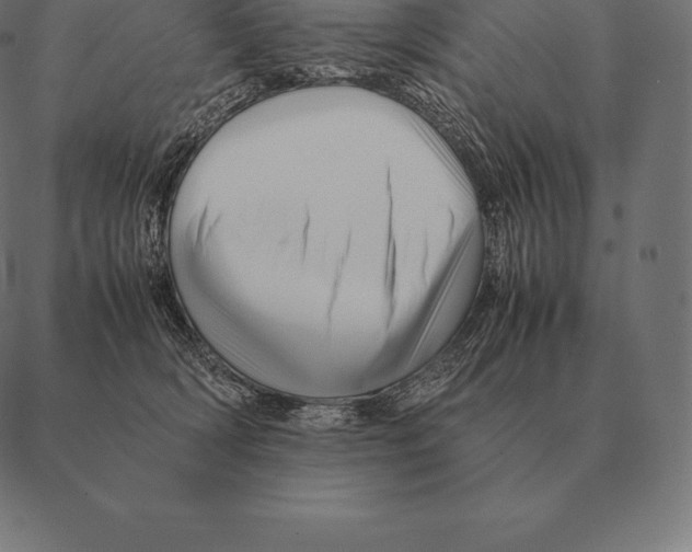 X0000087370418200705181221