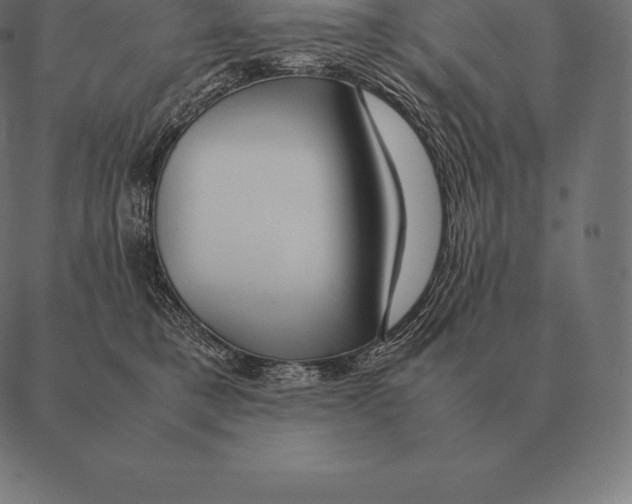 X0000087370421200705181221