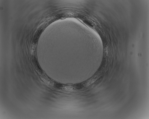 X0000087370423200705181221