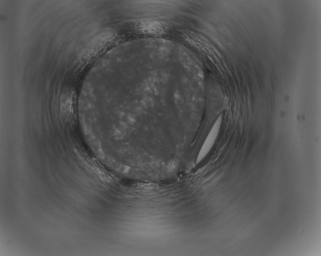 X0000087370424200705181221