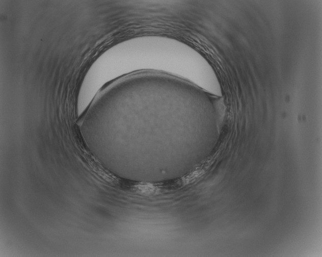 X0000087370425200705181221