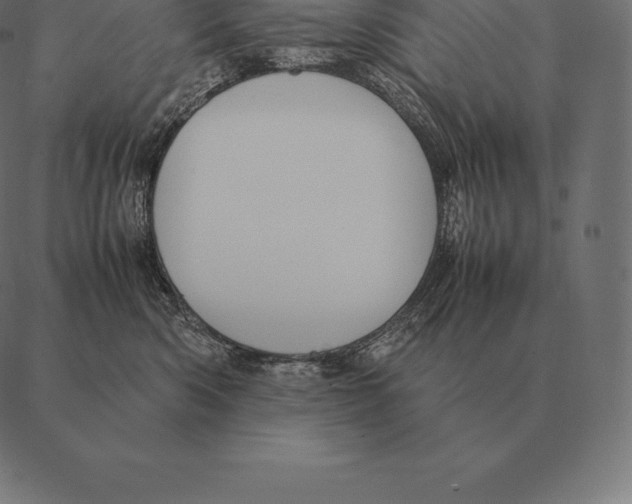 X0000087370426200705181221