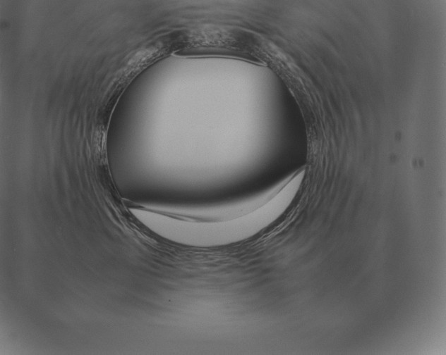 X0000087370429200705181221