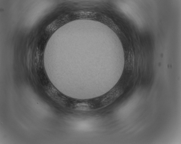 X0000087370430200705181221