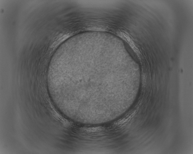 X0000087370433200705181220