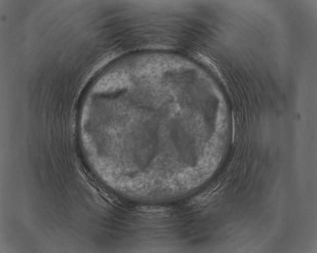 X0000087370435200705181220