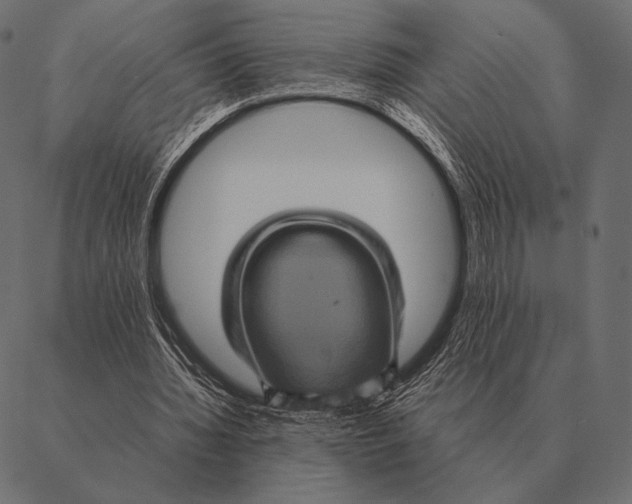 X0000087370436200705181220