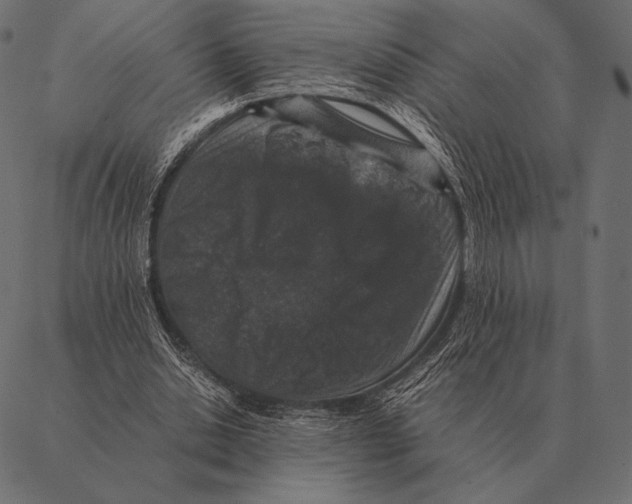 X0000087370438200705181220