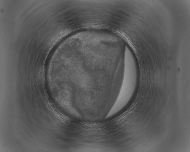 X0000087370439200705181220