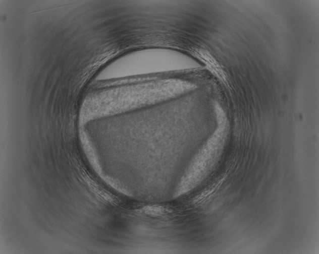 X0000087370441200705181220