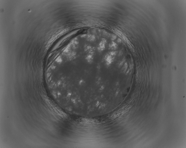 X0000087370442200705181220