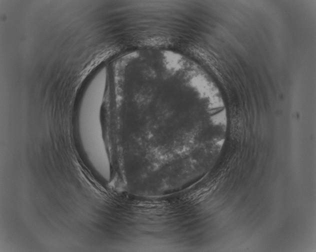 X0000087370443200705181221