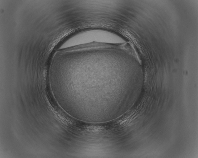 X0000087370444200705181221