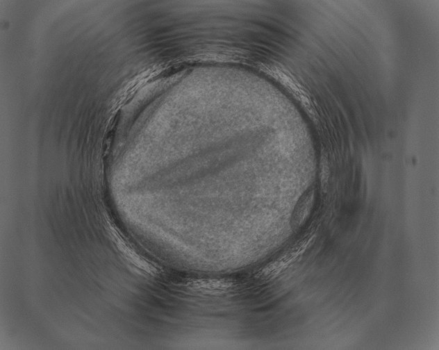 X0000087370445200705181221