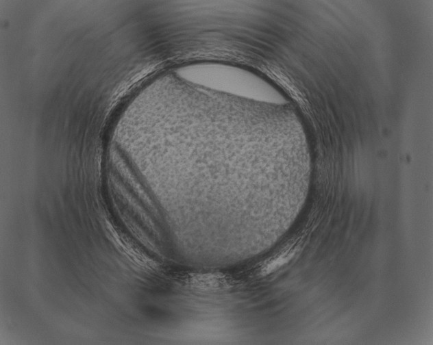 X0000087370446200705181221