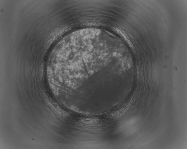 X0000087370447200705181221