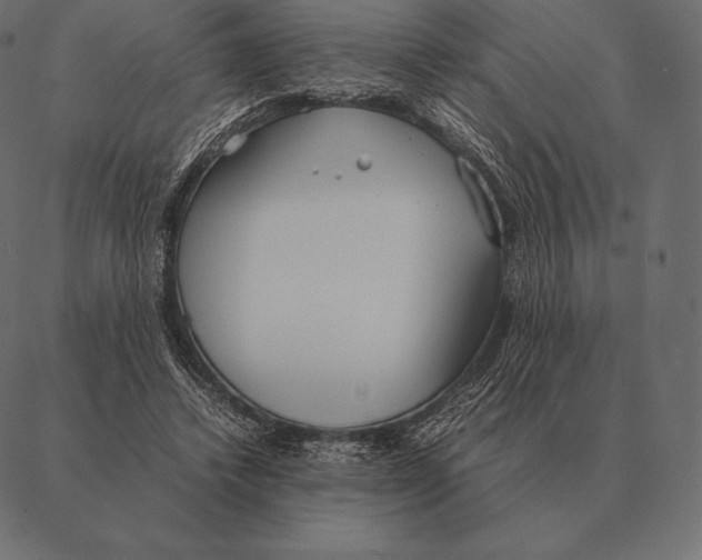 X0000087370448200705181221