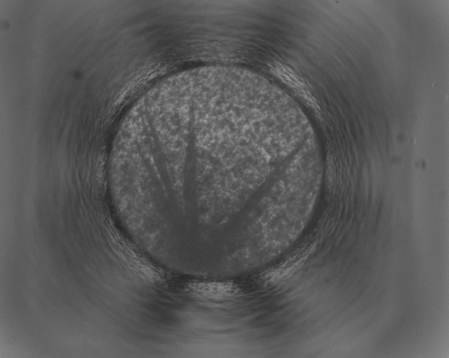 X0000087370449200705181221