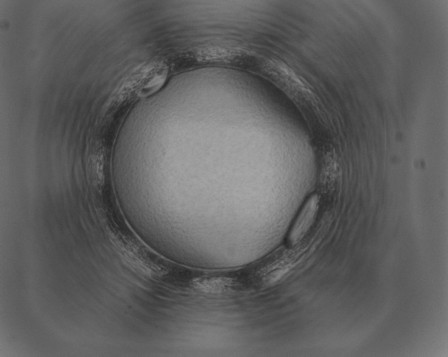 X0000087370452200705181221