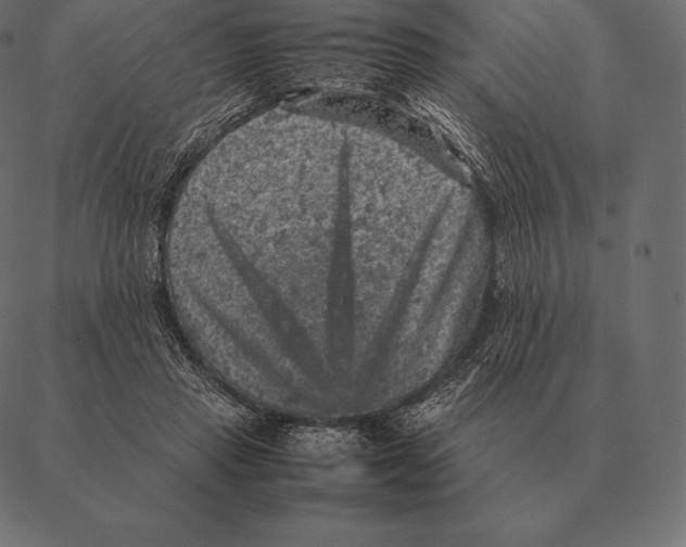 X0000087370453200705181221