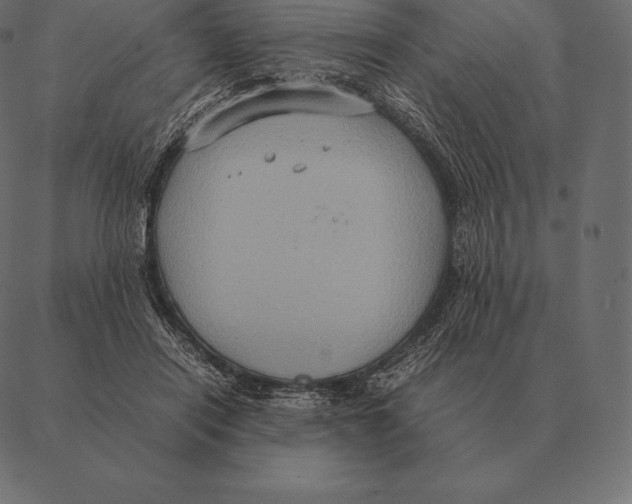 X0000087370454200705181221