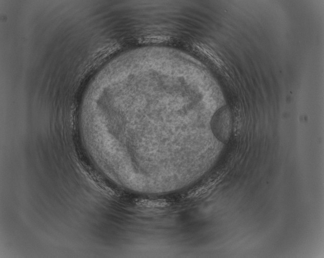 X0000087370455200705181221