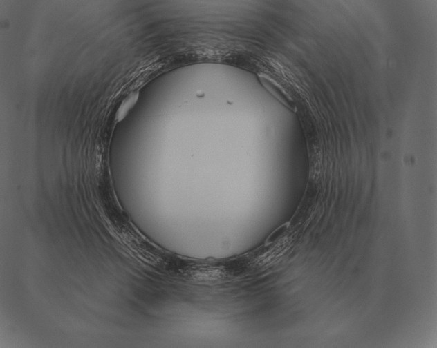 X0000087370456200705181221