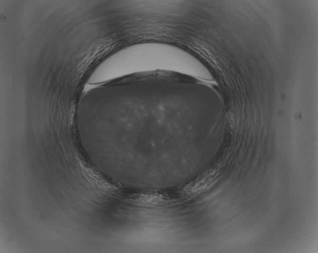 X0000087370458200705181221