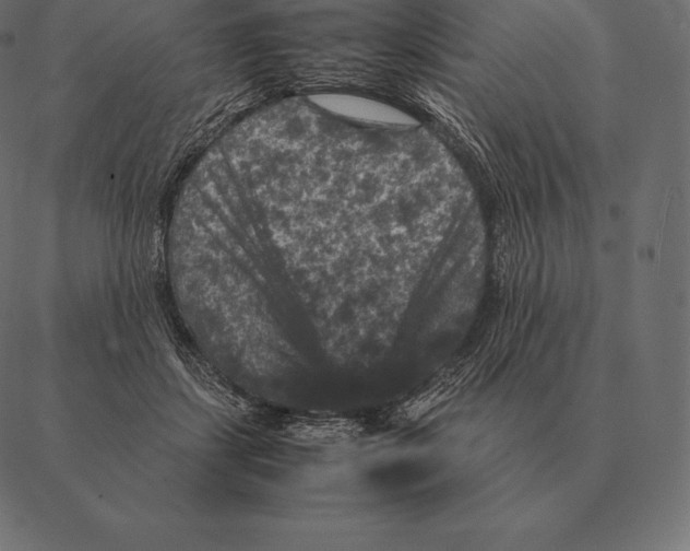 X0000087370459200705181221