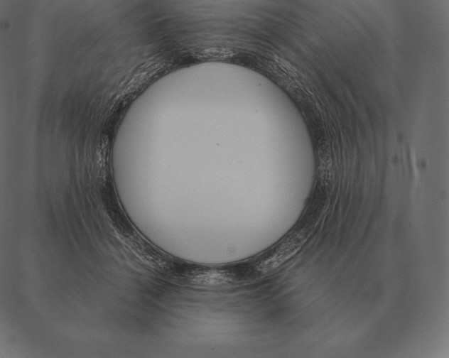 X0000087370460200705181221