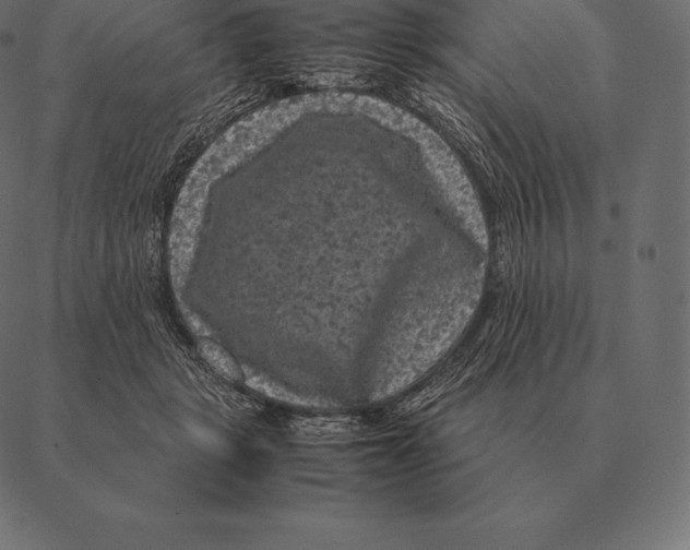 X0000087370461200705181221