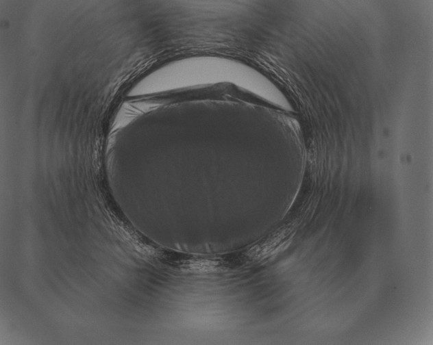 X0000087370462200705181221