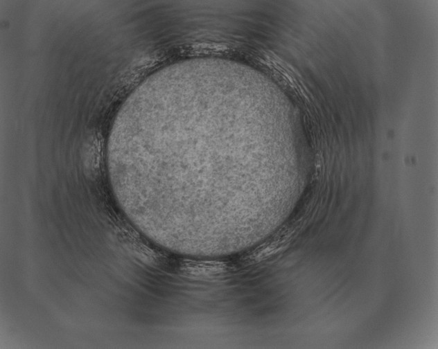 X0000087370463200705181221