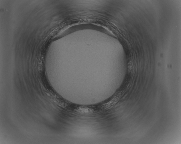 X0000087370464200705181221