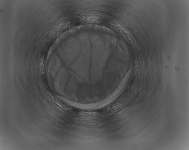 X0000087370465200705181221