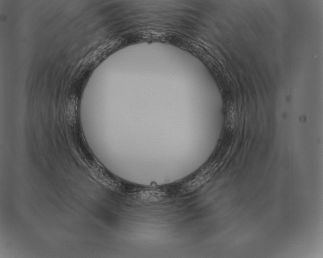 X0000087370468200705181221