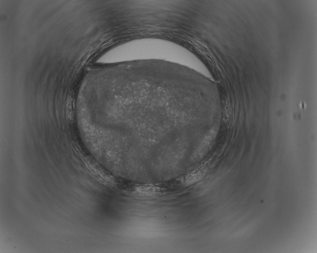 X0000087370470200705181221