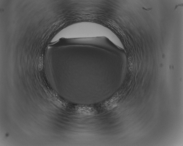 X0000087370471200705181221