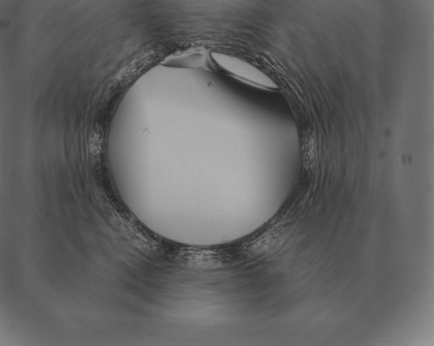 X0000087370472200705181221