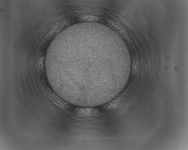 X0000087370473200705181221