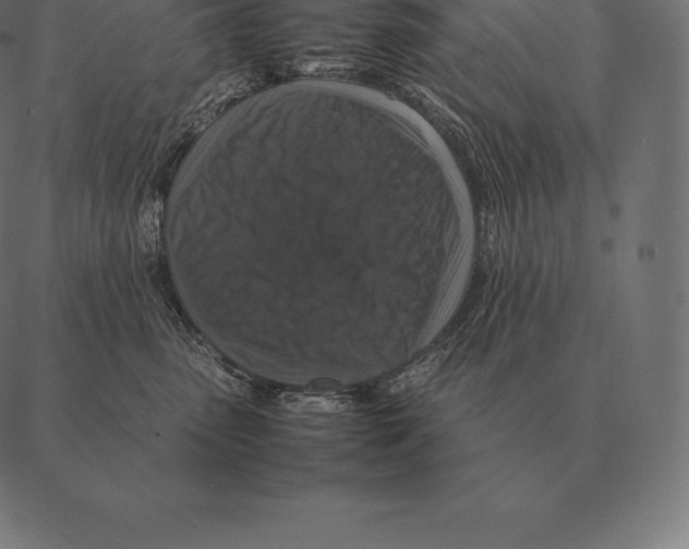 X0000087370475200705181221