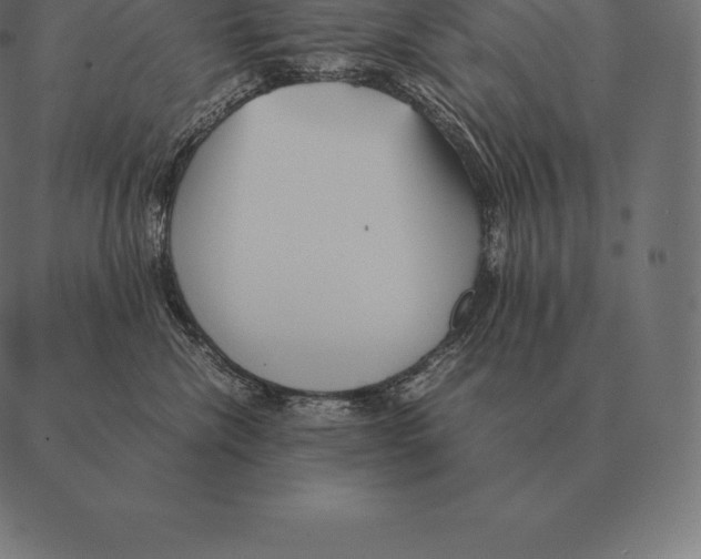 X0000087370476200705181221