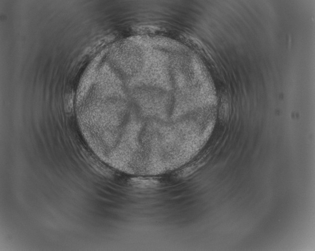 X0000087370477200705181221