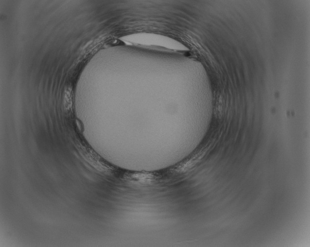 X0000087370478200705181221