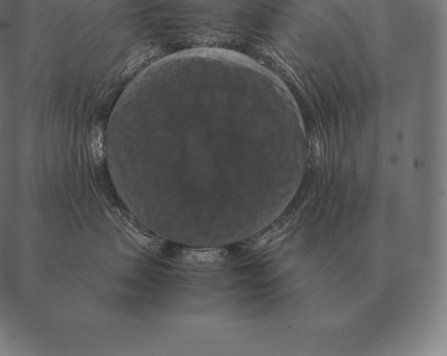 X0000087370479200705181221