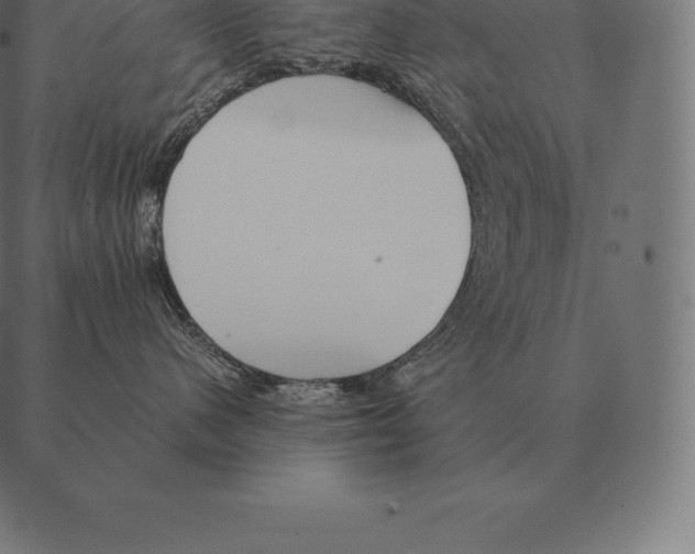 X0000087370480200705181221