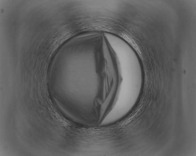 X0000087370481200705181220